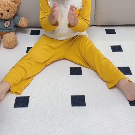 42 pcs Magnetic Building Blocks